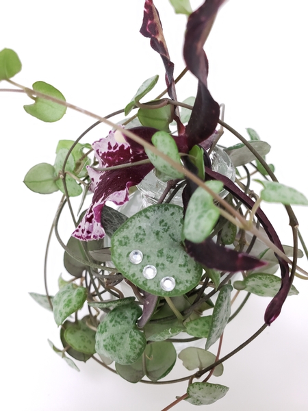 How to create zero waste and sustainable floral designs using a Oncidium orchid in a bud vase