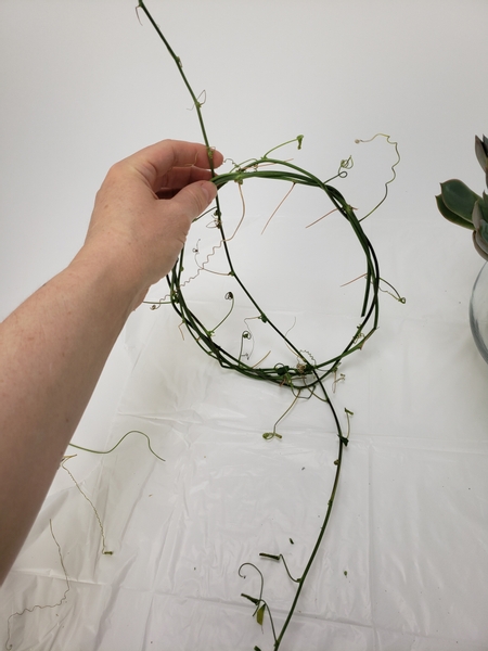 Press a long vine through the wreath from one end to another
