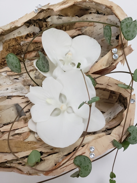 Pure white Phalaenopsis orchids in a Valentines day floral arrangement