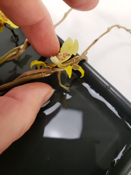 Slip the orchid stems through the gaps in the willow knot twists