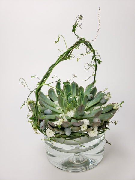 Succulent Easter basket design