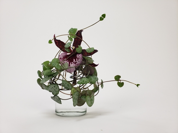 Tangle a vine nest for an easy Spring bud vase topper