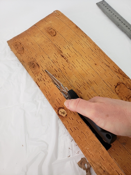 Cut a sheet of birch bark into strips