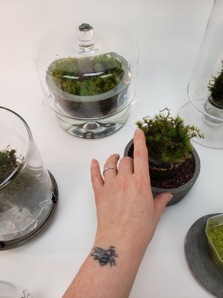 Trim the moss