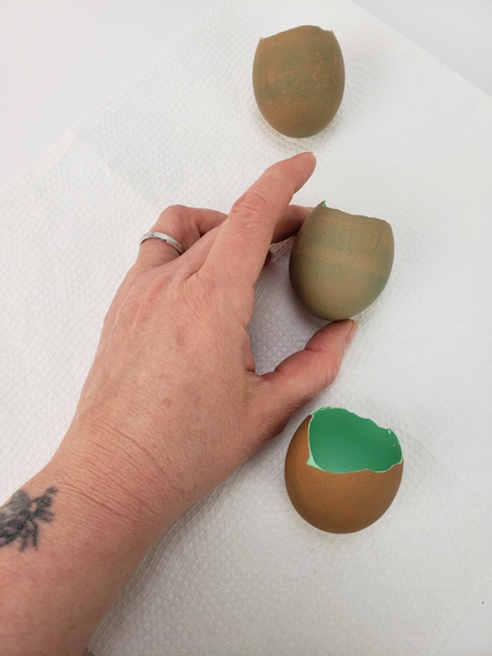For my design I started by soaking the egg shells in green food colouring