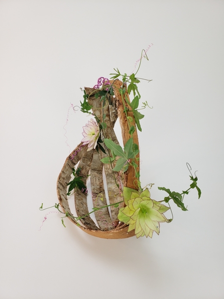 Passion fruit vine and Helleborus basket for spring