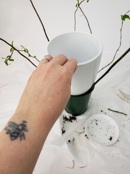 Place the display pot on the potting soil