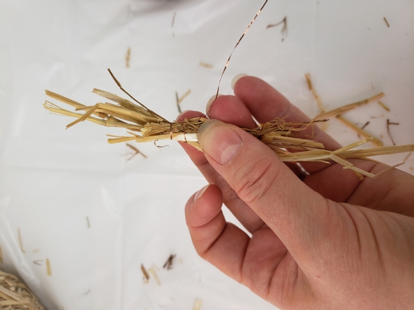 Wrap the wire around the straw to create a small bundle