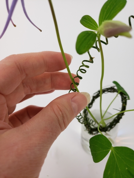 And slip the stem through the coil to help keep the tall flower stem exactly where you want it