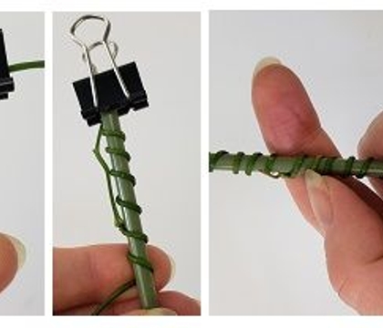 springy, Spring, spring