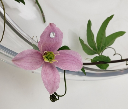 In The Time it Takes To Listen To Learn