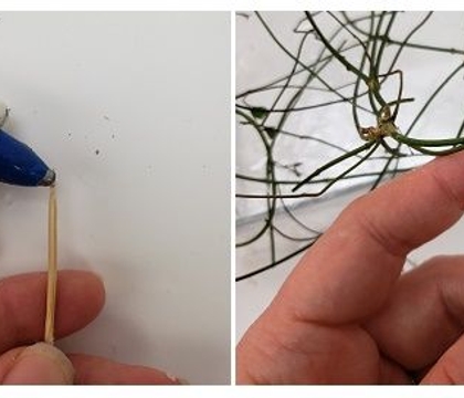 (if only) I can see you