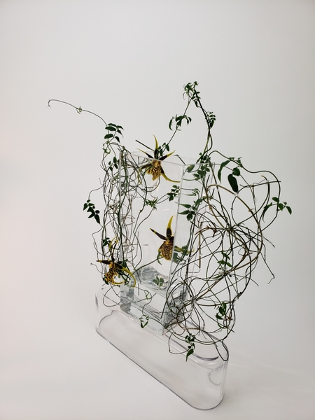 How to create a floral art display using only vines