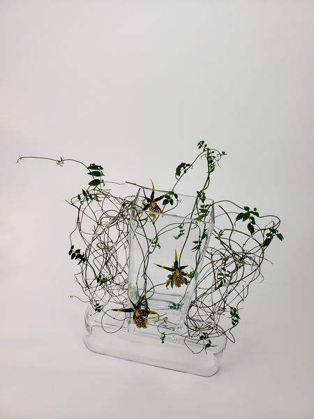 Lace thin see through floral display using vines
