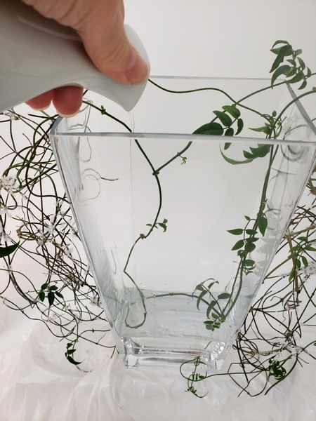 Pour water into the display container to keep the jasmine vines hydrated