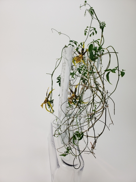 Sustainable zero waste floral art design by Christine de Beer