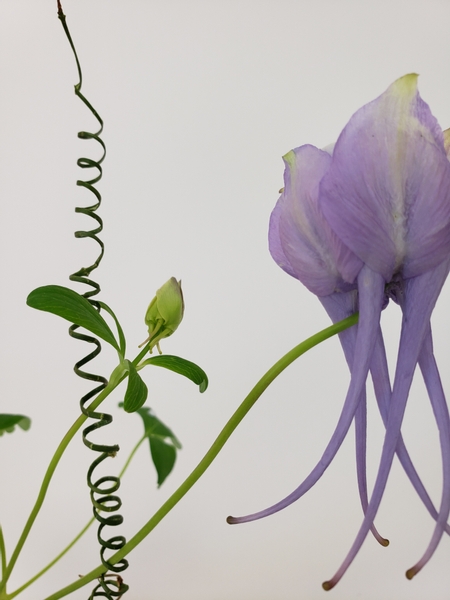 Use a coiled vine to keep the flower upright