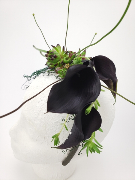 Calla lily, blue berry and succulent floral art design fascinator