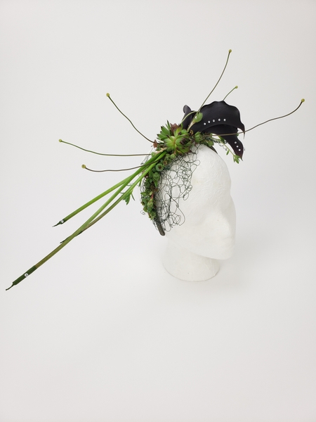 Creative floral art arranging for a fascinator made from succulents