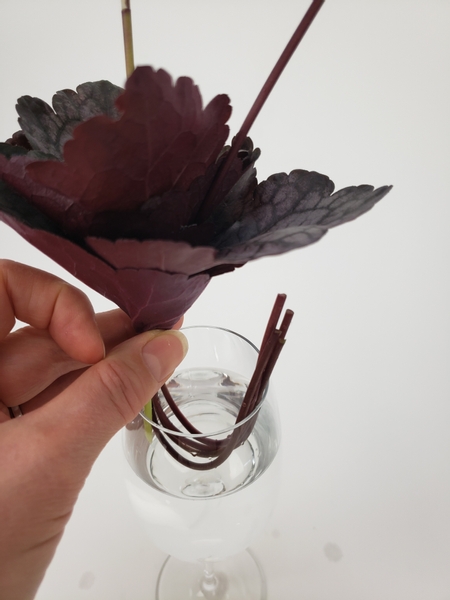 Curve the Heuchera leaf rosette stems and slip them into the display container