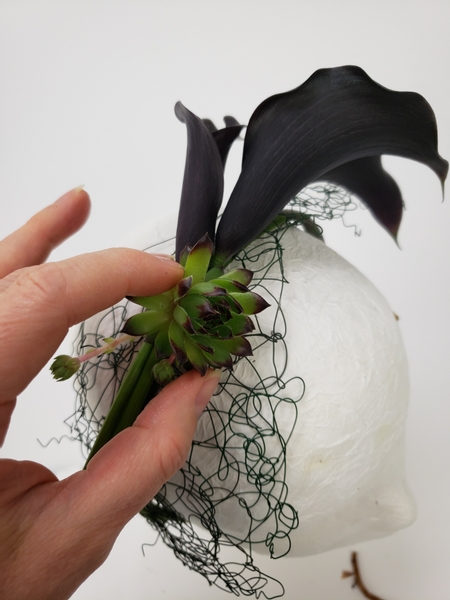 Glue the succulents to the florist taped covered wire base and headband