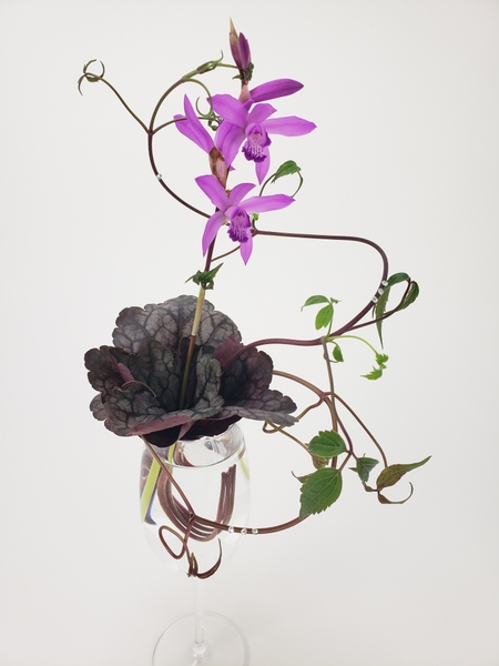 Heuchera (Coral Bells) leaf rosette for a orchid stem display