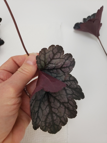 Place some glue on the remaining side of the leaf