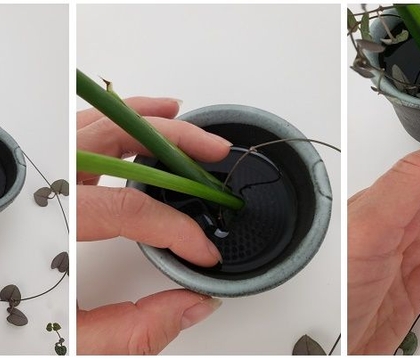 I mean… did you!?!