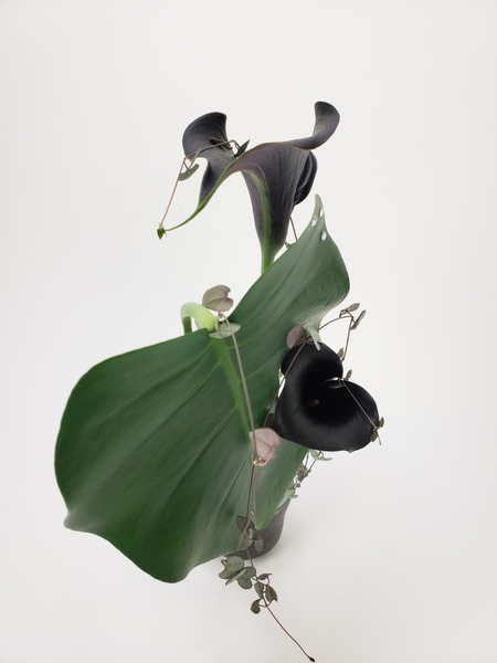 Sustainable and waste free floral arrangements with almost black flowers
