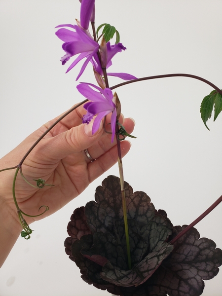 Thread a burgundy stemmed clematis vine through the rosette just below the top leaves