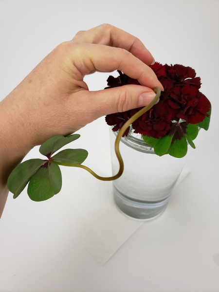 Add in a few curvier oxalis stems