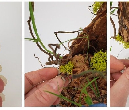 Do you know what the point is?