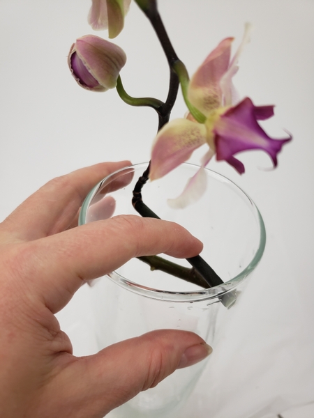 Angle and fit a Phalaenopsis orchid stem to fit into the container and gently press down to spear the stem into the thorn