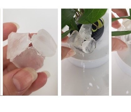 Have a floral adventure, really