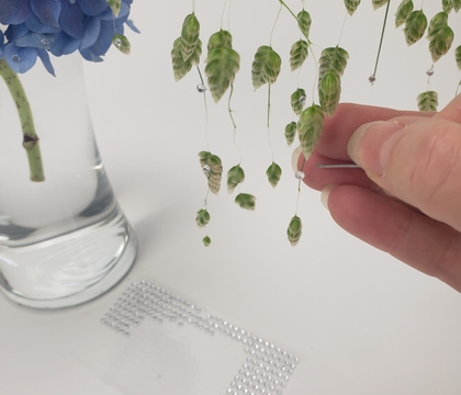 Dangling Quaking Grass drops threaded through a hydrangea flower head for support