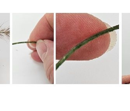 And what are you supposed to be?