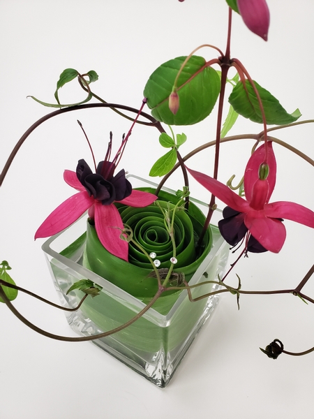 Fuchsia flowers in a small floral design