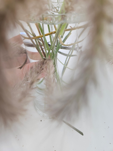 On either side of the fountain grass tips