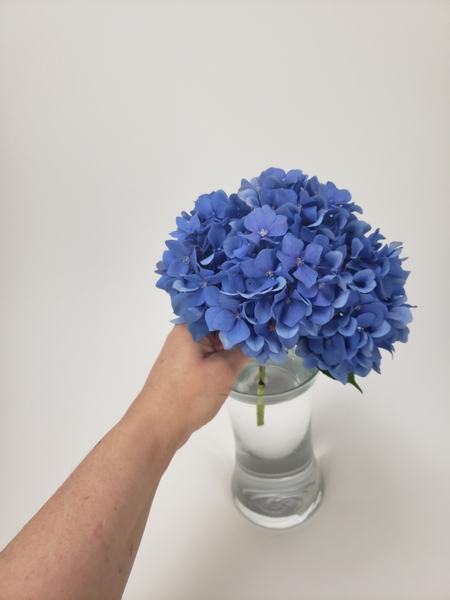 Place the hydrangea flower head in the container