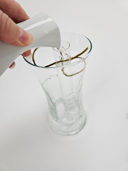 Pour water into both the tube and the display container