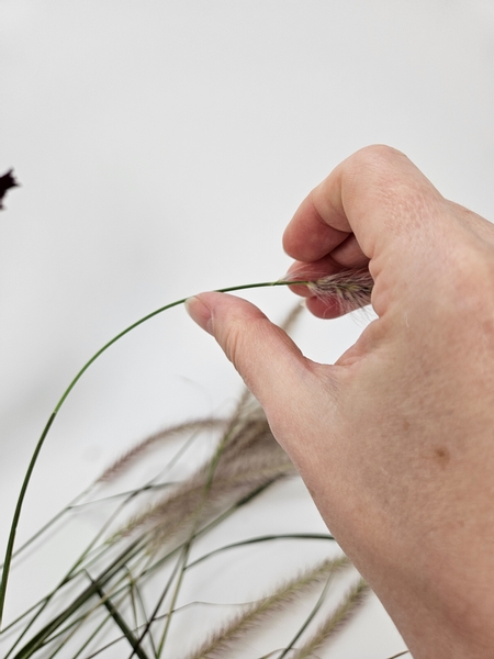 Rest the grass stem on the pad of your thumb