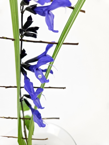 Salvia flowers in a sustainable flower arrangement for summer