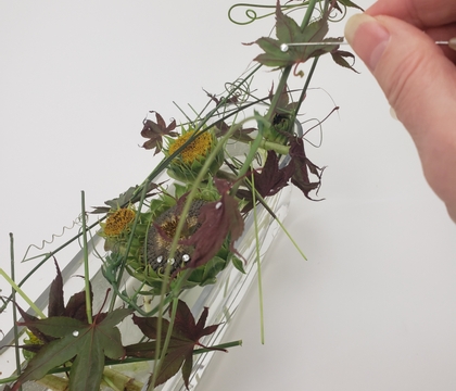 Slip-slit tapped in stems to keep vines upright in a muted autumn display