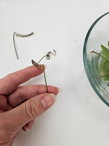 Choose a pretty tendril and cut it from your vine