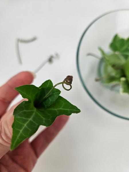 Fold the leaf over the tendril