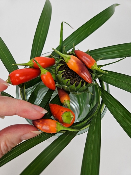 Glue in a few chillies to rest on and around the support and flower head