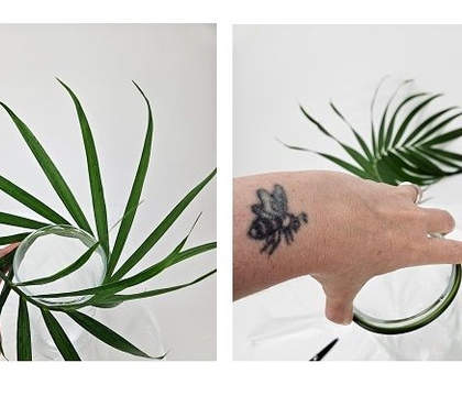 More! More!! More!!!