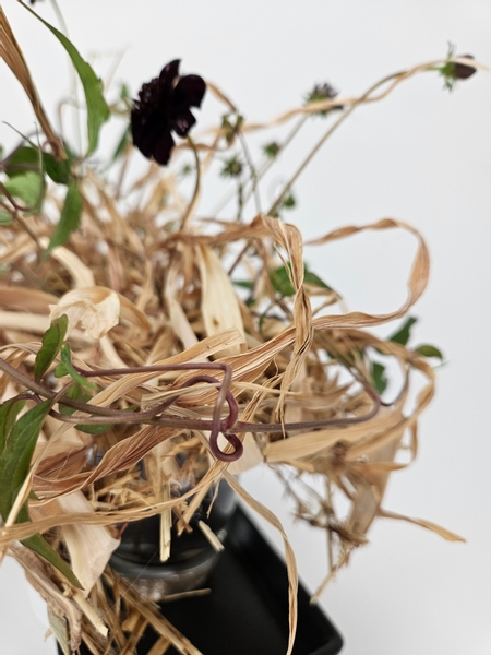 Tangle dried foliage for an Autumn flower arrangement