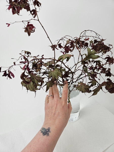 Allow a bunch of Japanese maple stems to dry naturally in a vase.