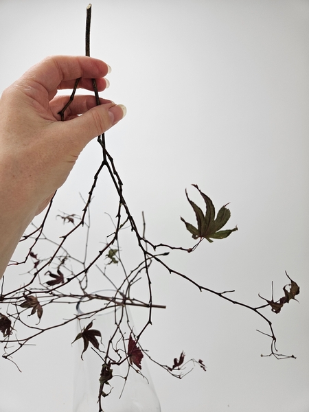 Carefully position the twigs so that the leaves point up to avoid it looking droopy or as if it is wilting